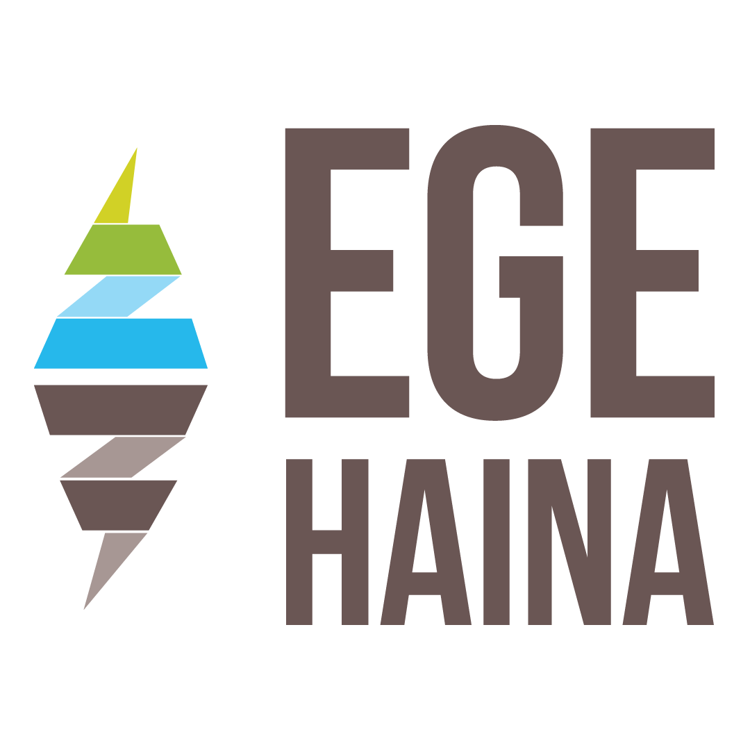 Logo_Actual_de_EGE_Haina